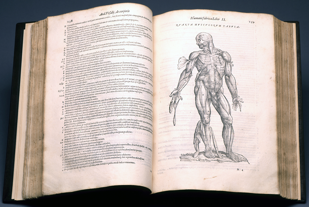 New Acquisition for the Study of Vesalius and the History of Medicine